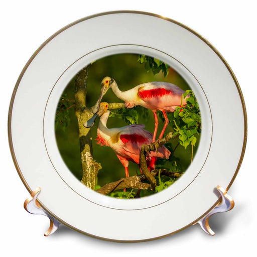 image of 8 inch Porcelain Plate