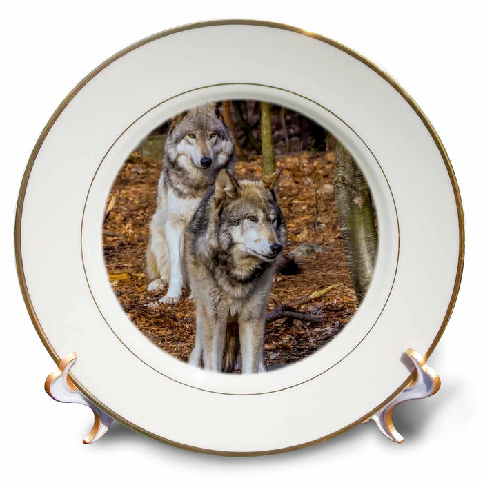 image of 8 inch Porcelain Plate