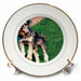 image of 8 inch Porcelain Plate