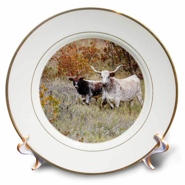 image of 8 inch Porcelain Plate