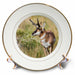 image of 8 inch Porcelain Plate