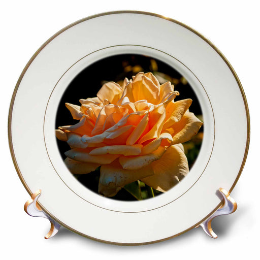 image of 8 inch Porcelain Plate