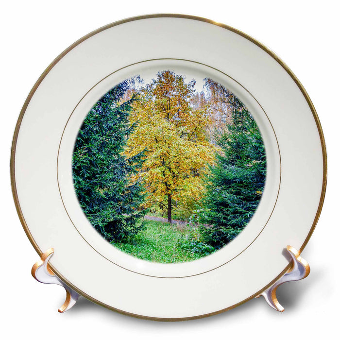 image of 8 inch Porcelain Plate