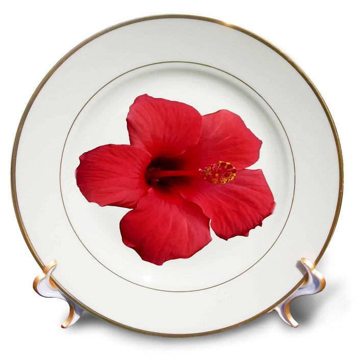 image of 8 inch Porcelain Plate