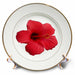 image of 8 inch Porcelain Plate