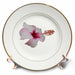 image of 8 inch Porcelain Plate