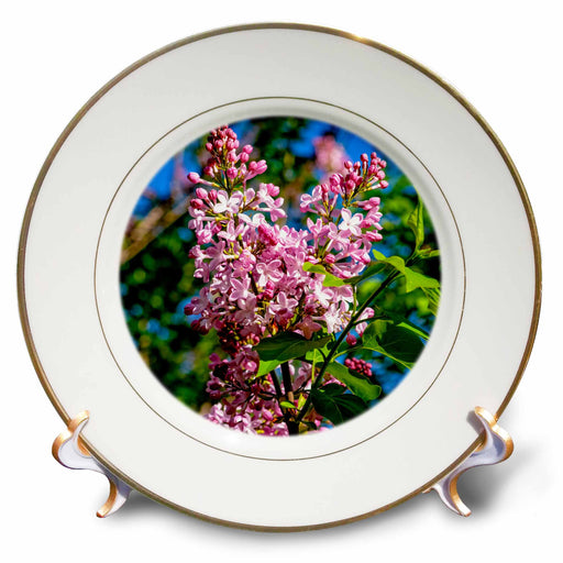 image of 8 inch Porcelain Plate