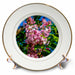 image of 8 inch Porcelain Plate