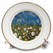 image of 8 inch Porcelain Plate