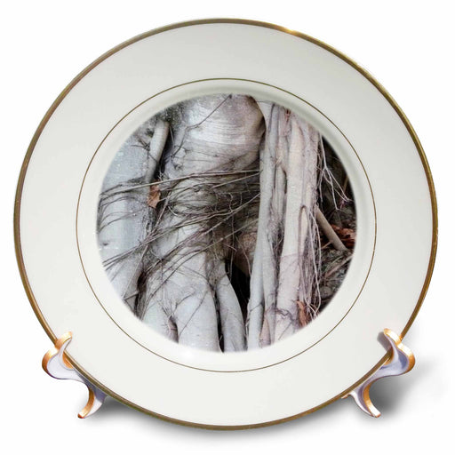 image of 8 inch Porcelain Plate