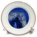 image of 8 inch Porcelain Plate