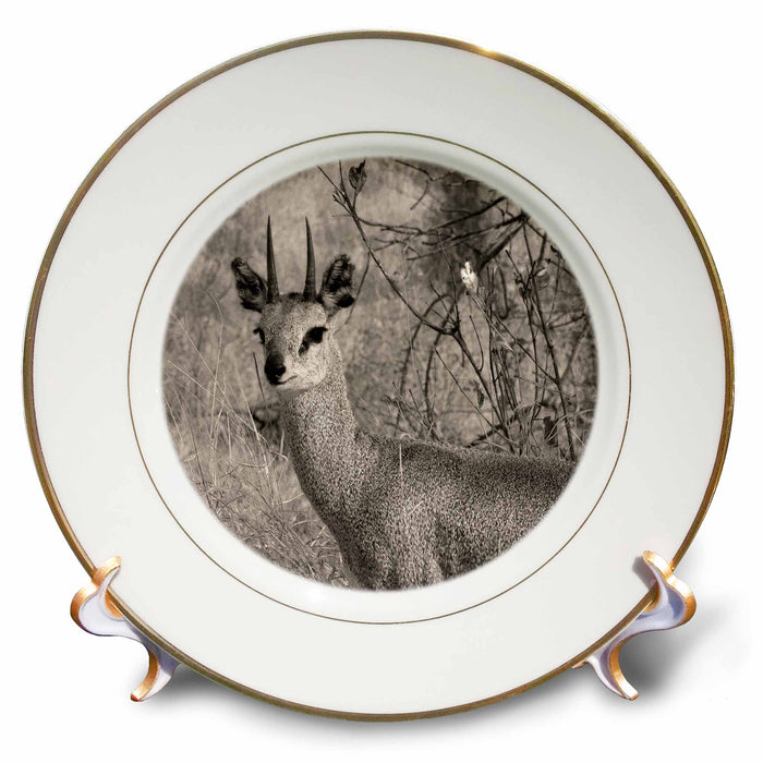 image of 8 inch Porcelain Plate