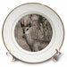 image of 8 inch Porcelain Plate