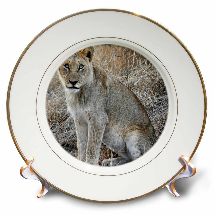 image of 8 inch Porcelain Plate