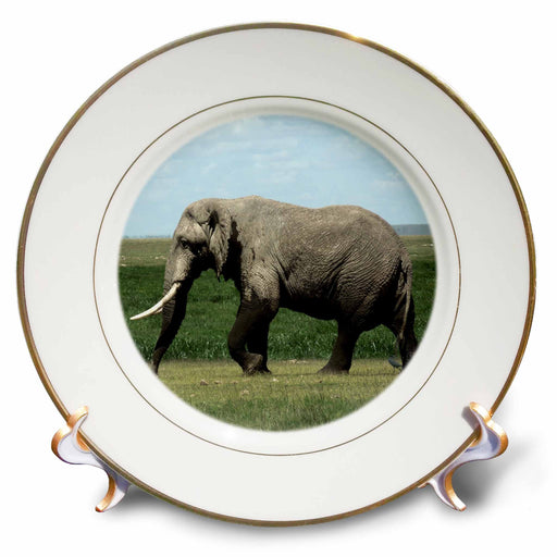 image of 8 inch Porcelain Plate