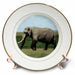 image of 8 inch Porcelain Plate