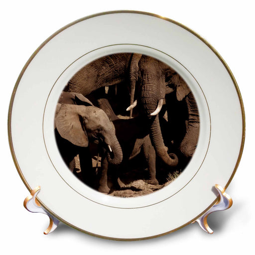 image of 8 inch Porcelain Plate