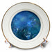 image of 8 inch Porcelain Plate