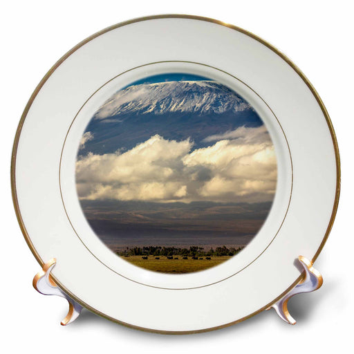 image of 8 inch Porcelain Plate