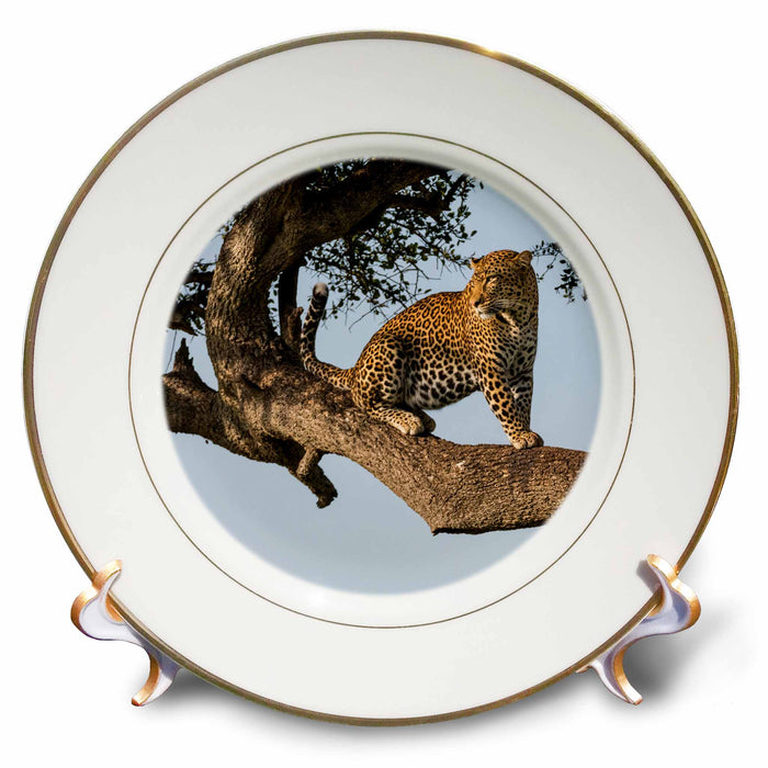 image of 8 inch Porcelain Plate