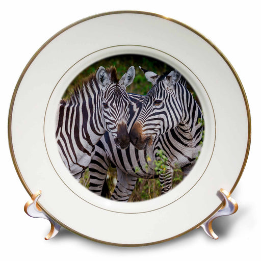 image of 8 inch Porcelain Plate