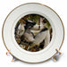 image of 8 inch Porcelain Plate