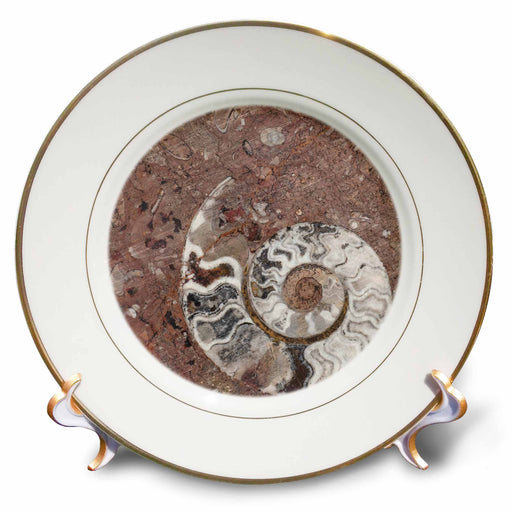 image of 8 inch Porcelain Plate