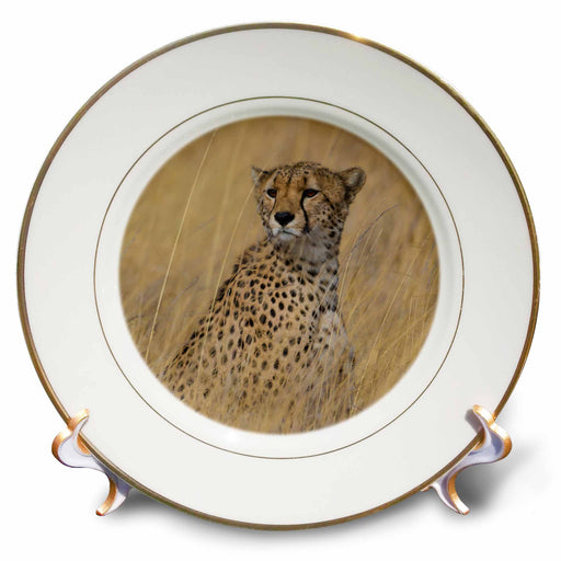 image of 8 inch Porcelain Plate