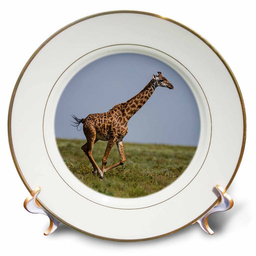 image of 8 inch Porcelain Plate