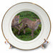 image of 8 inch Porcelain Plate