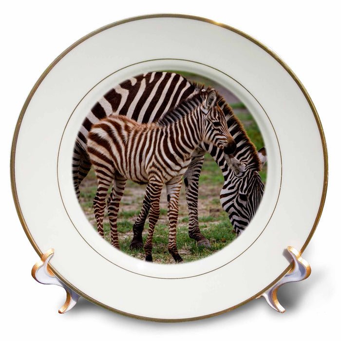 image of 8 inch Porcelain Plate