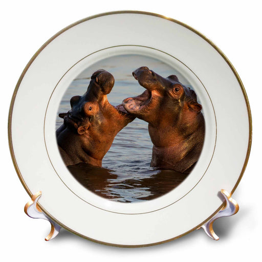 image of 8 inch Porcelain Plate