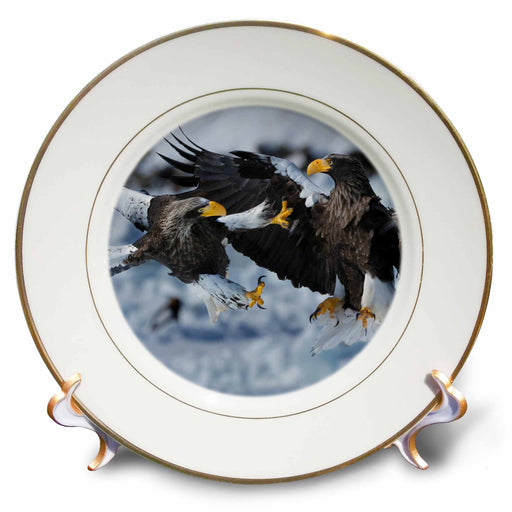 image of 8 inch Porcelain Plate