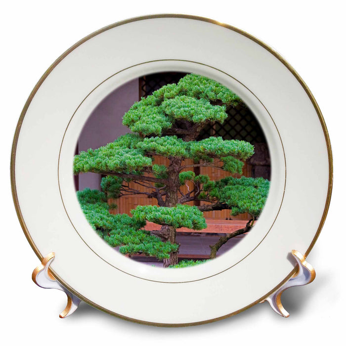 image of 8 inch Porcelain Plate