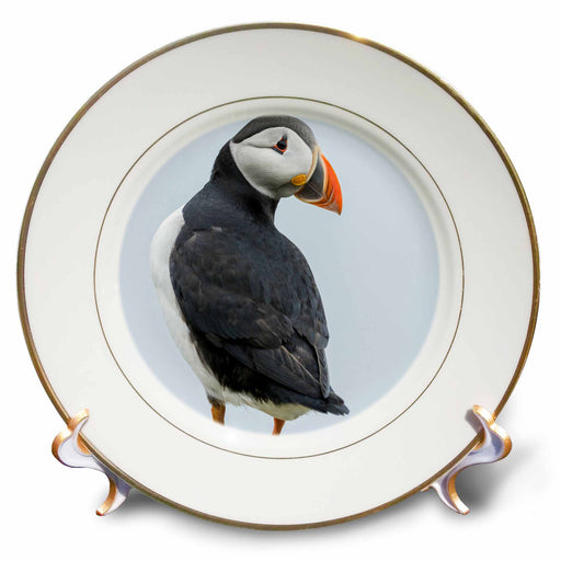 image of 8 inch Porcelain Plate