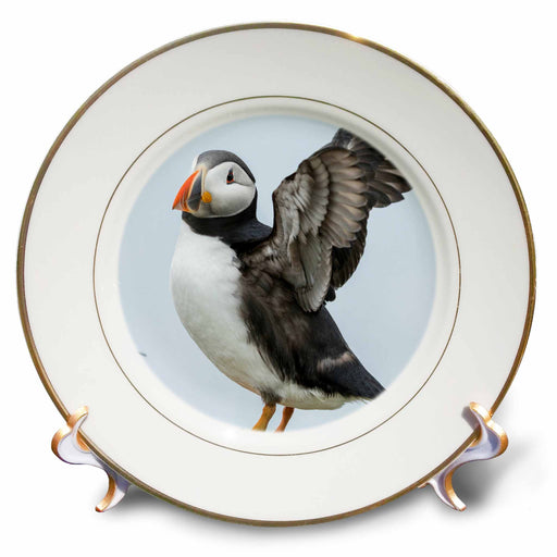 image of 8 inch Porcelain Plate