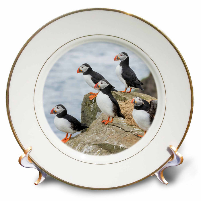 image of 8 inch Porcelain Plate