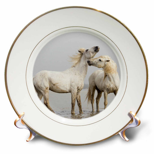 image of 8 inch Porcelain Plate