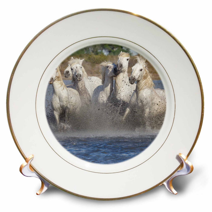 image of 8 inch Porcelain Plate