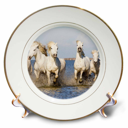 image of 8 inch Porcelain Plate