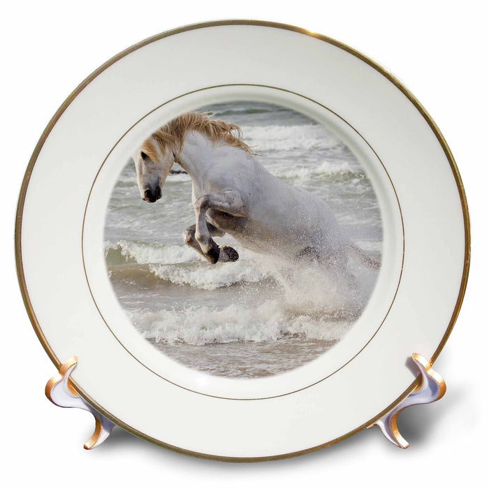 image of 8 inch Porcelain Plate