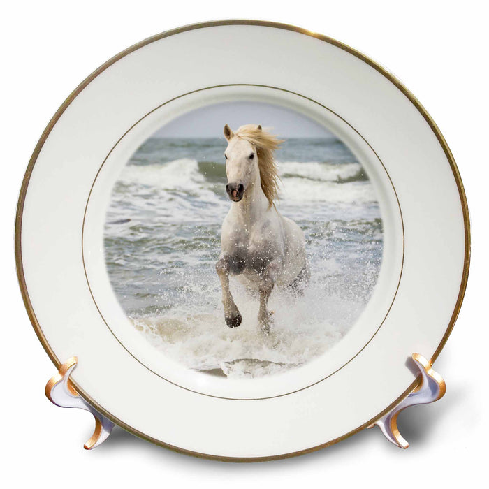 image of 8 inch Porcelain Plate