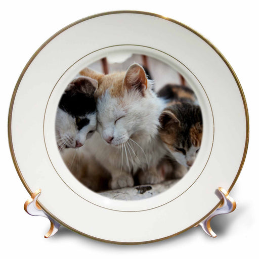 image of 8 inch Porcelain Plate