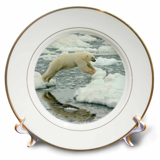 image of 8 inch Porcelain Plate