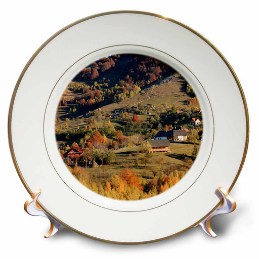 image of 8 inch Porcelain Plate