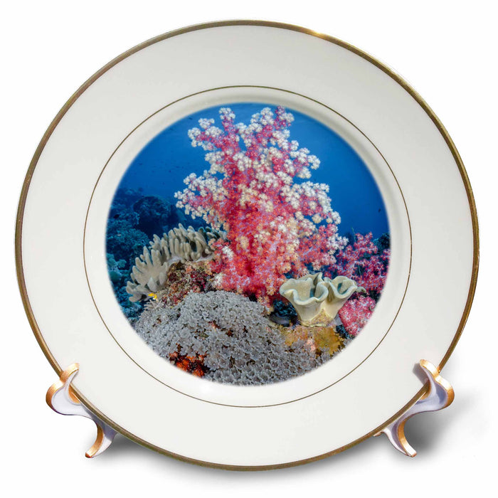 image of 8 inch Porcelain Plate