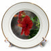 image of 8 inch Porcelain Plate