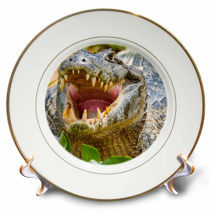 image of 8 inch Porcelain Plate