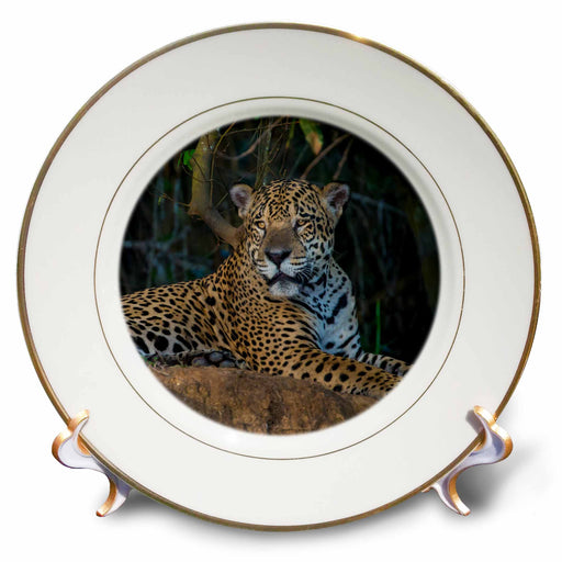 image of 8 inch Porcelain Plate