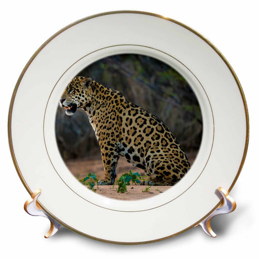 image of 8 inch Porcelain Plate